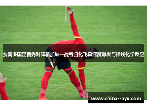 费南多国足首秀对阵新加坡一战看归化飞翼速度爆发与锋线化学反应