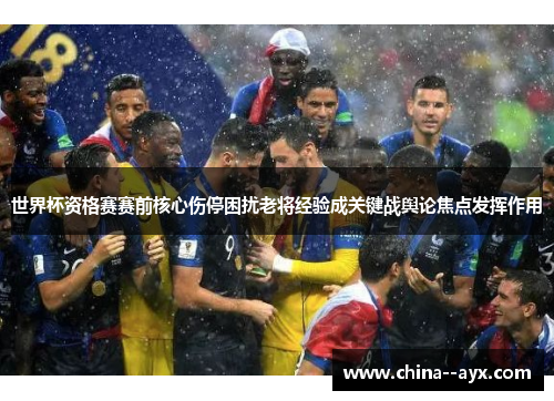 世界杯资格赛赛前核心伤停困扰老将经验成关键战舆论焦点发挥作用